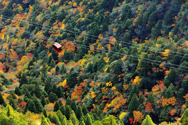 【最新／紅葉は今が見頃】大阪から日帰り旅・絶景の紅葉！「御在所ロープウェイ」