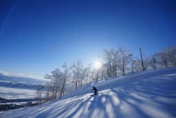 オリンピアンとスキー＆ディナー！北海道で木村公宣による2daysスキーレッスン